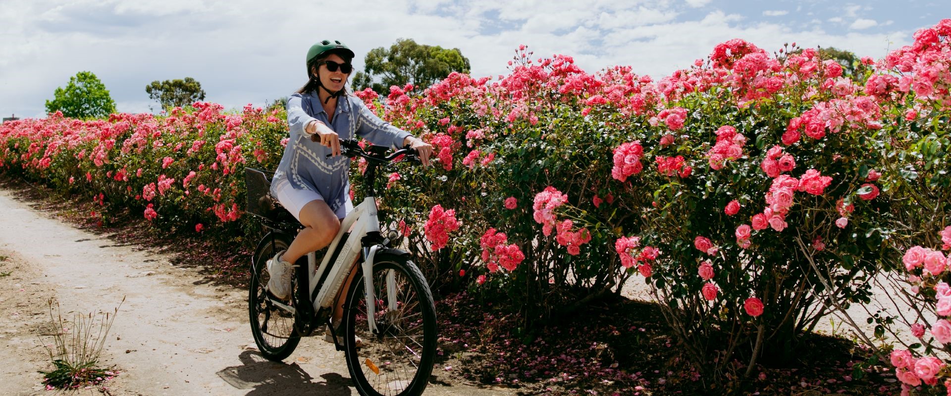 Tours &amp; Experiences 