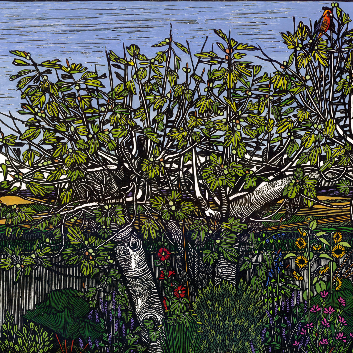 Inn Print exhibition by Gail Kellett