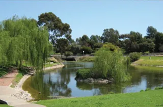 OLD REYNELLA
