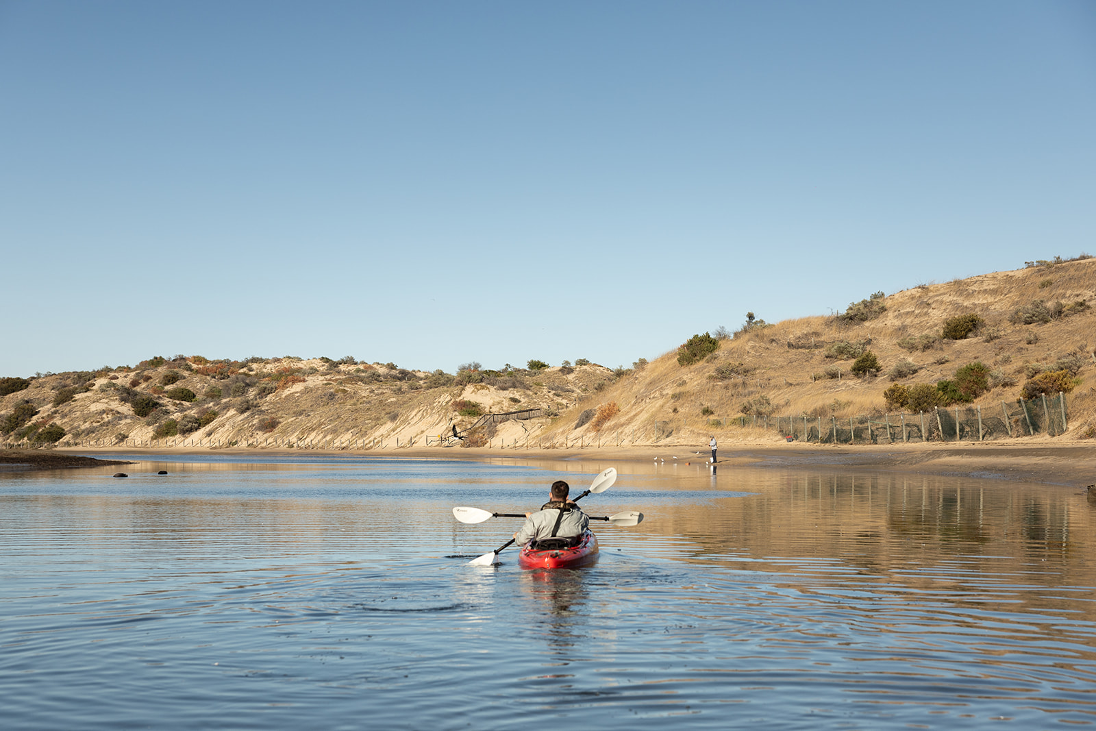 A red kayak being paddled in the onkaparinga river and the paddle is white