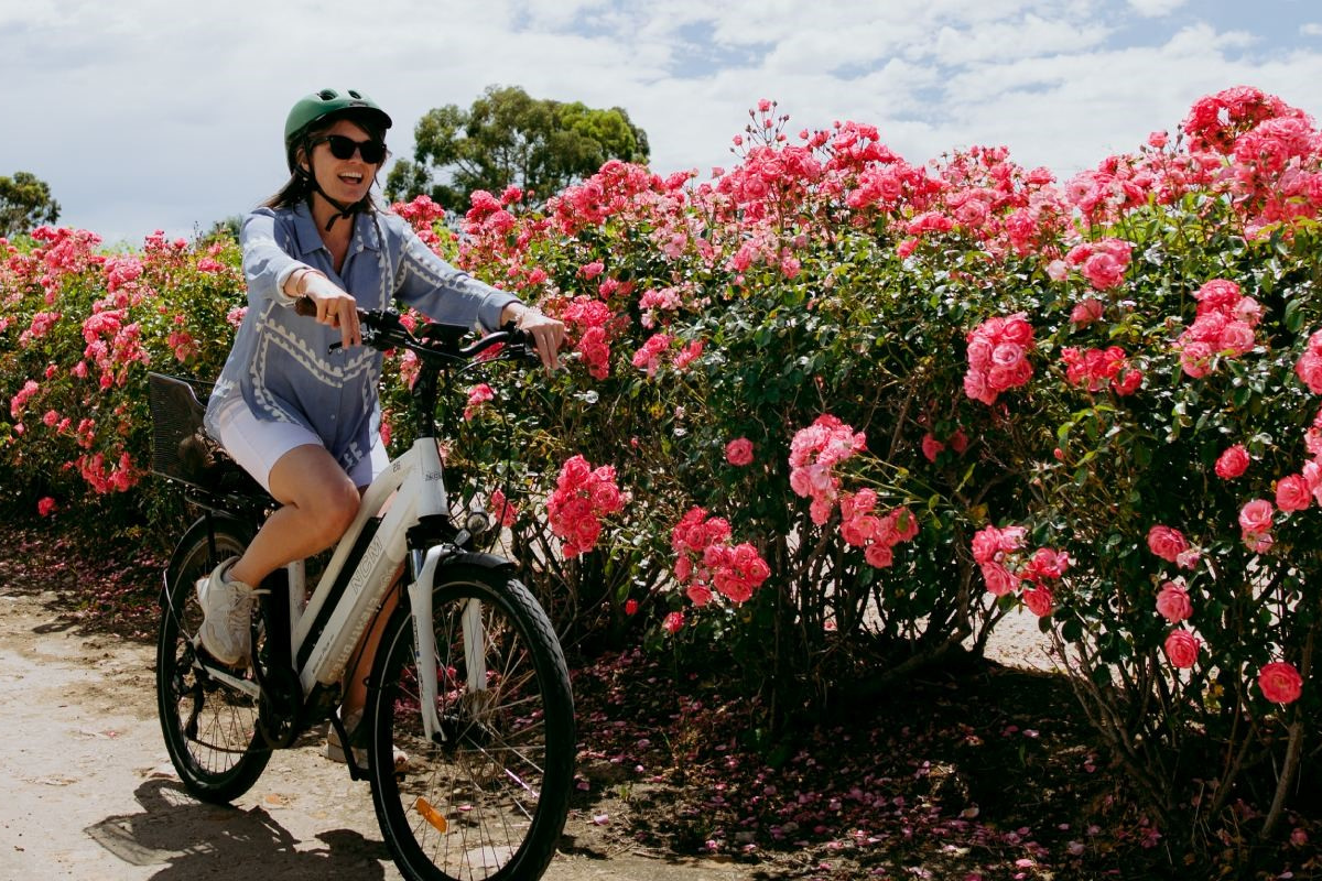 Coast to vines Trail