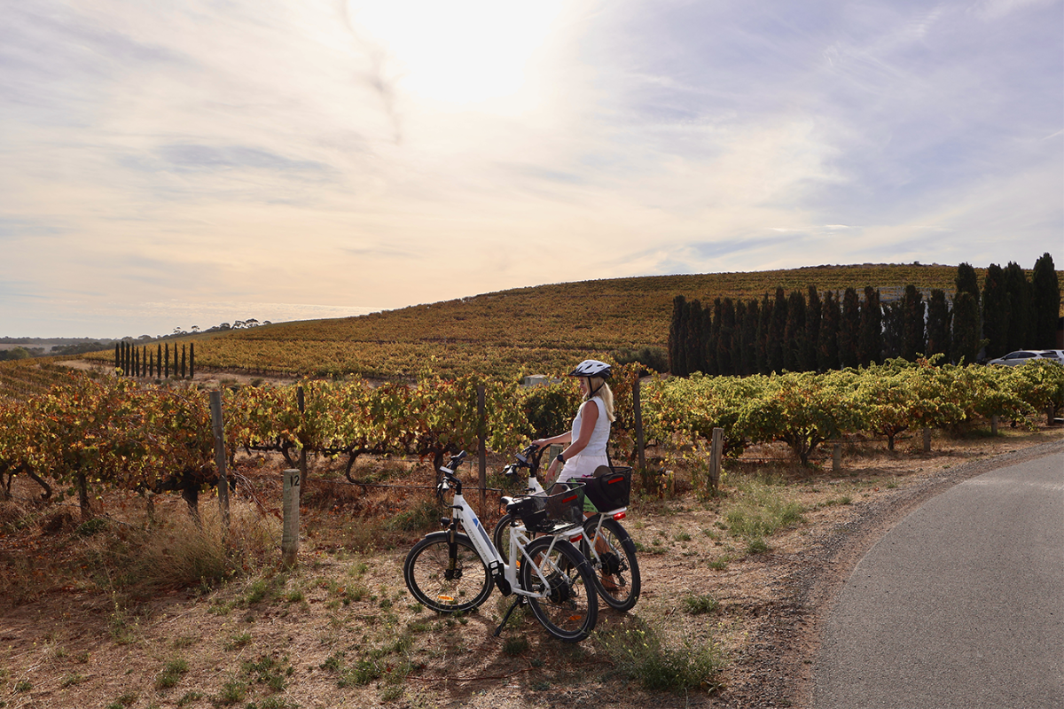 Shiraz Trail