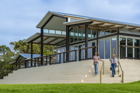 From Student to Success Story: Elena's Love Letter to McLaren Vale & the Wonder Room