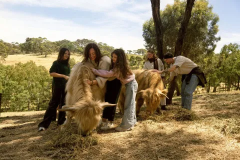 A Family Weekend Adventure in McLaren Vale &  Fleurieu Coast