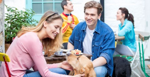 Your dog-friendly guide to exploring the McLaren Vale and Fleurieu Coast