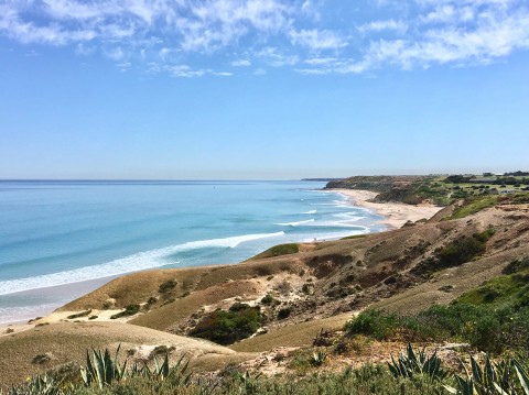 Aldinga: Coastal Charm & Authentic Experiences