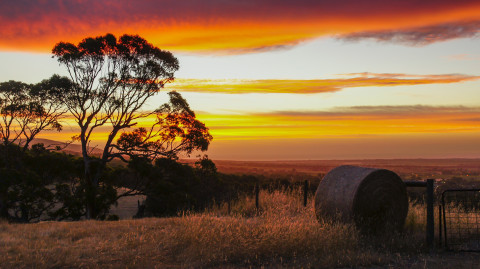 Why Willunga is Australia’s #1 Food & Wine Town