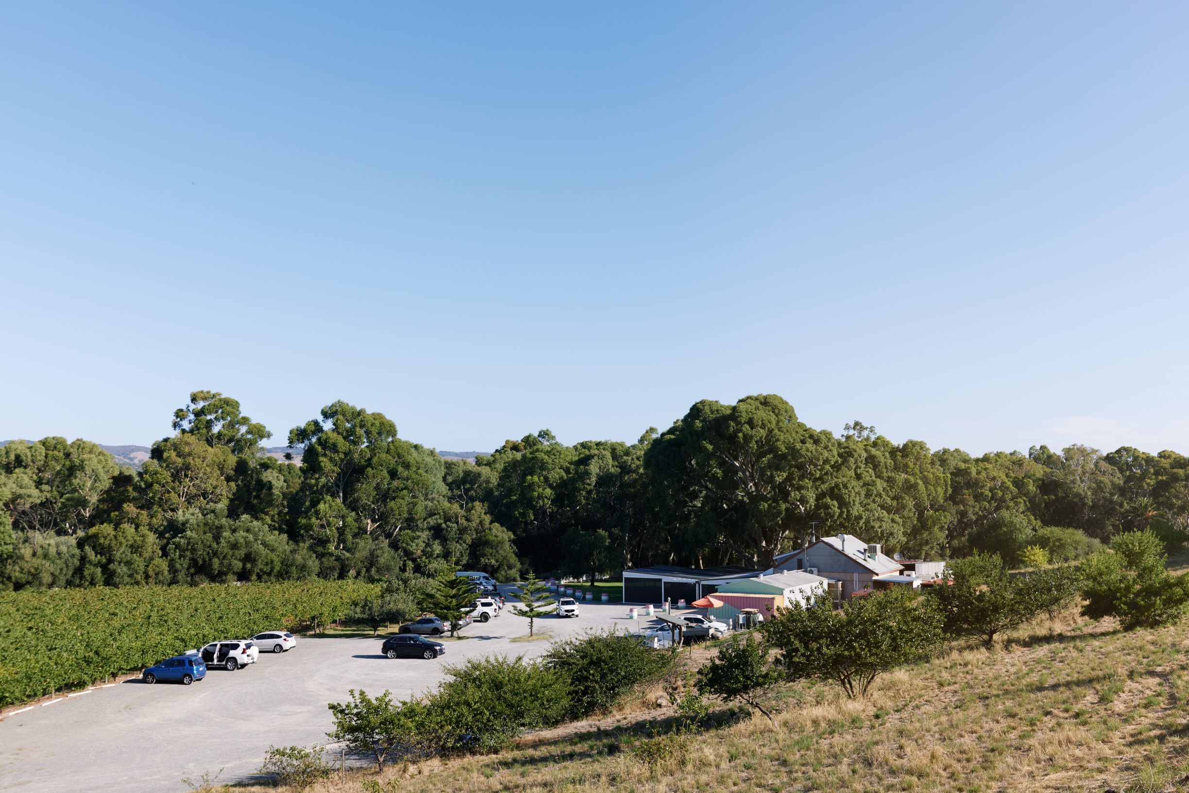 A building surrounded by trees in McLaren Vale