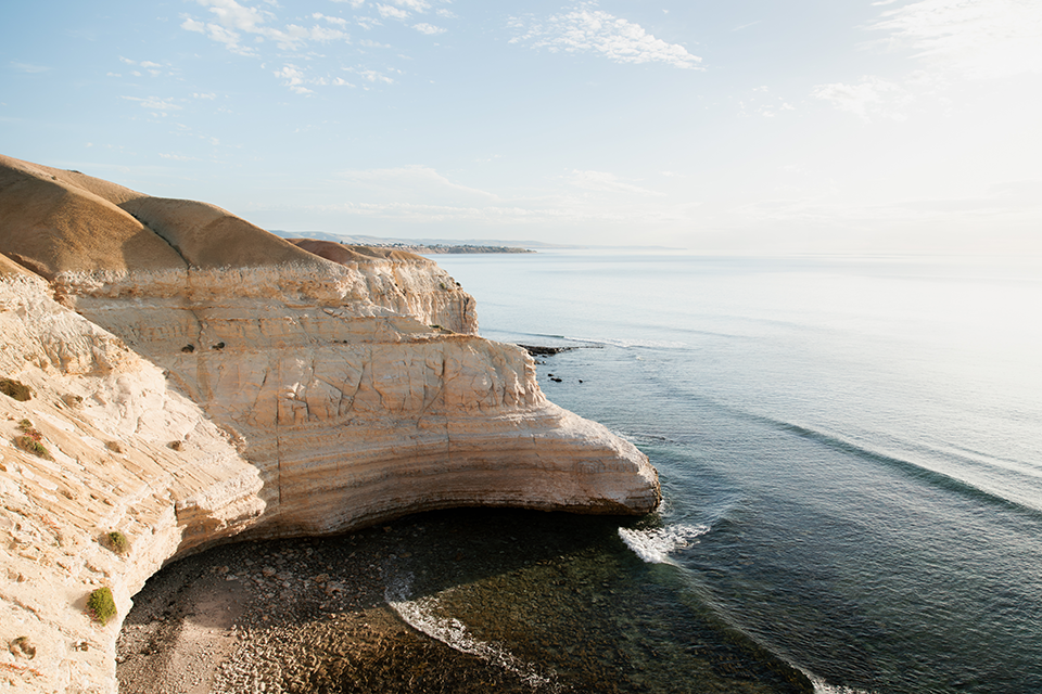 Blanche Point in McLaren Vale and Fleuriueu Coast