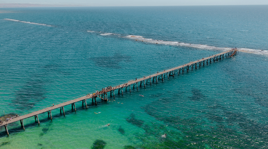 Aerial view of the Port Noarlunga jetty extending over the turquoise reef and ocean on the Fleurieu Coast, South Australia