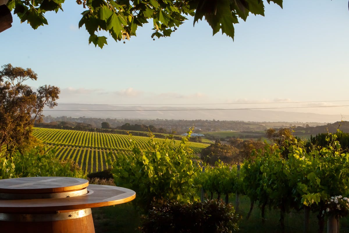 Summer Sundays at Beach Road Wines