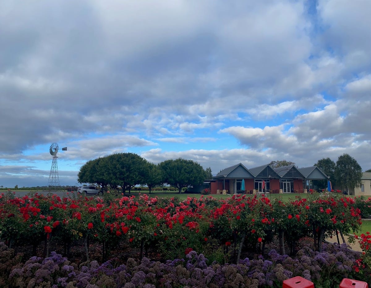 Collective Christmas Markets at Richard Hamilton Wines McLaren Vale