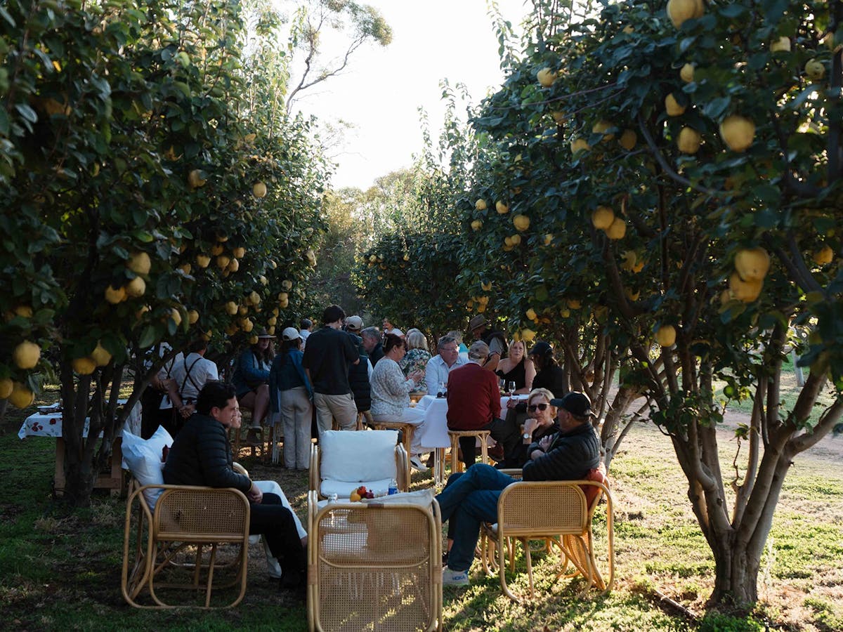 Tasting Australia by Road | Tasting Australia presented by Journey Beyond