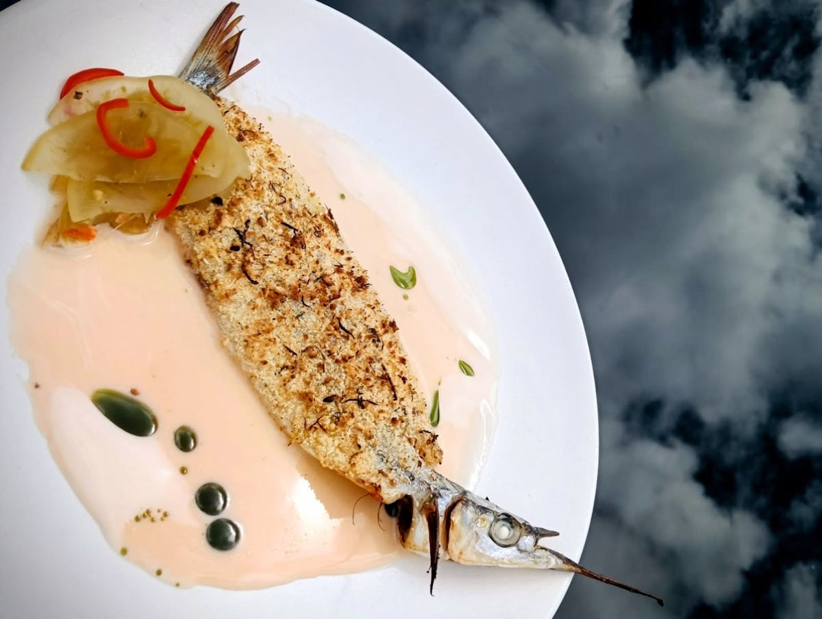 Gulf + Grain | Tasting Australia