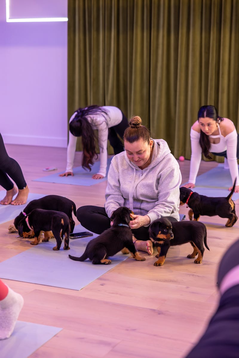 Puppy Yoga in Adelaide - The Original Wellness & Puppy Cuddle Experience | Pooch Yoga SA